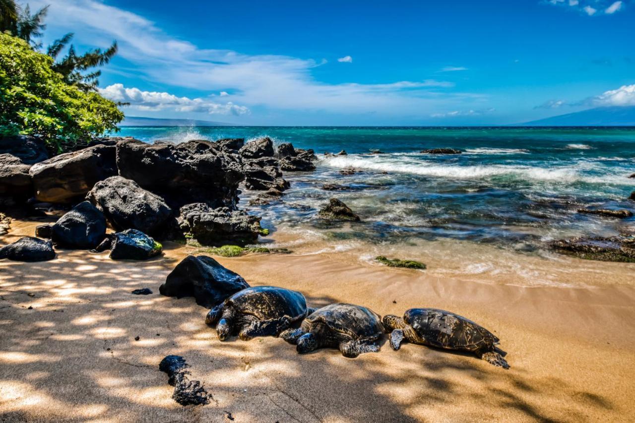 Mahina Surf I Villa Napili-Honokowai Kamer foto