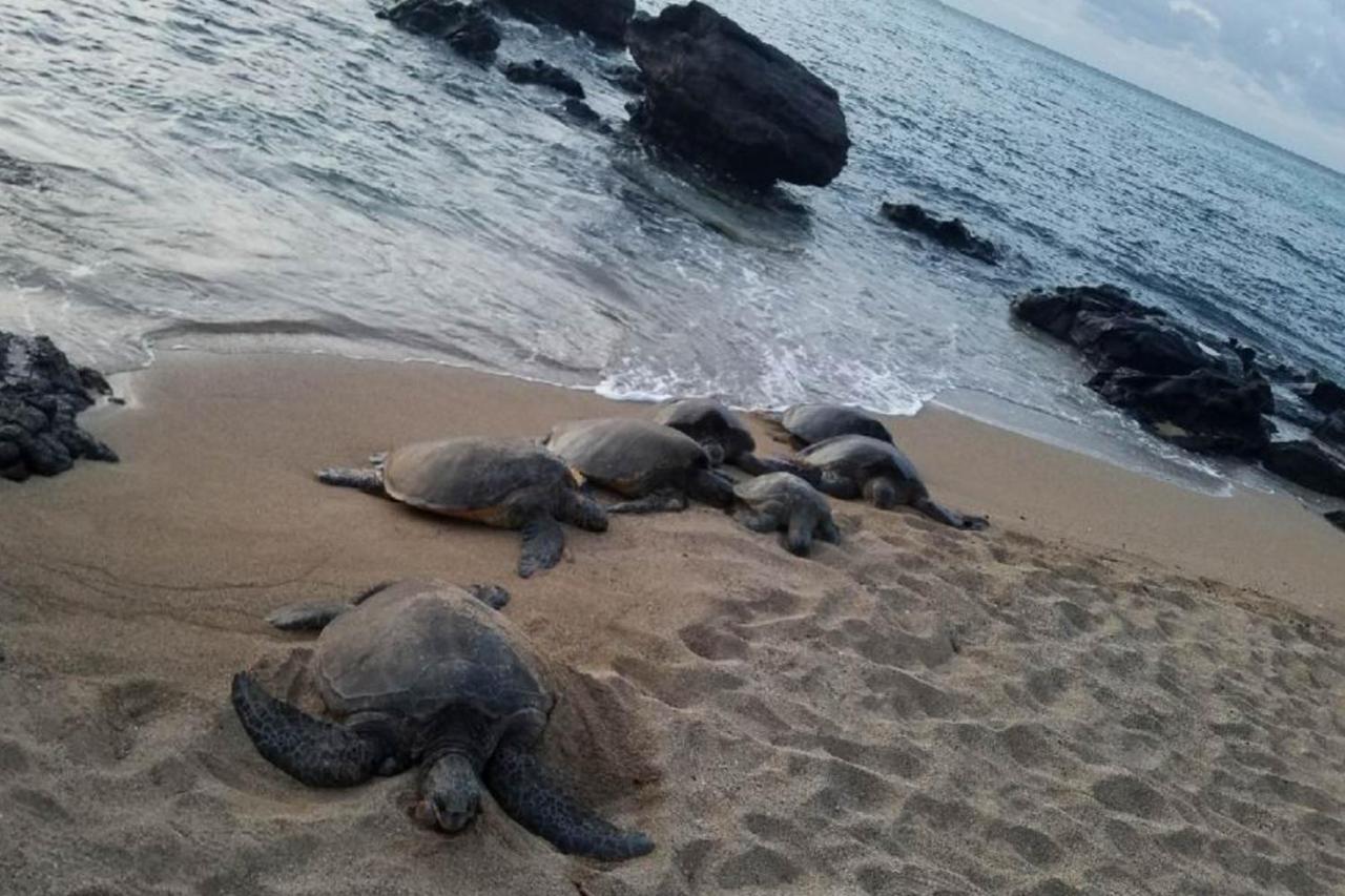 Mahina Surf I Villa Napili-Honokowai Buitenkant foto